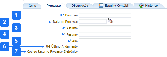 Arquivo:Aba Processo - NP.png