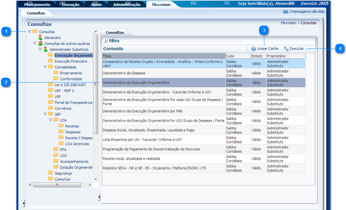Arquivo:700px-Flexvision consultas.png