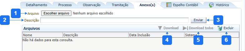Arquivo:Aba Anexo - SCO.png