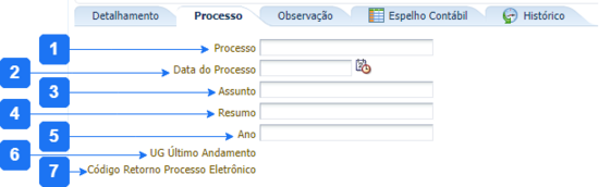 Arquivo:550px-Aba Processo - RC.png
