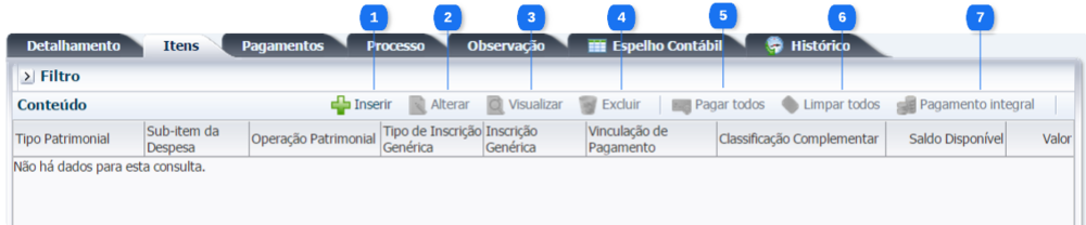 Execução - Execução Financeira - PDOrçamentária (3).png