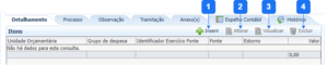 Aba Detalhamento - SCO.png