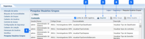 900px-Pesquisa Usuario Grupos.png