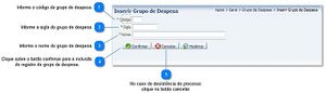 800px-Inserir grupo de despesa.jpg