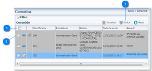 Excluir mensagem.png