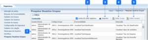 800px-Pesquisa Usuario Grupos.png