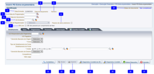 800px-Inserir PD Extra-Orçamentária.png