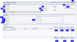 600px-Inserir pessoa juridica.png