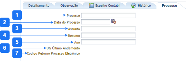 Aba Processo - NS.png