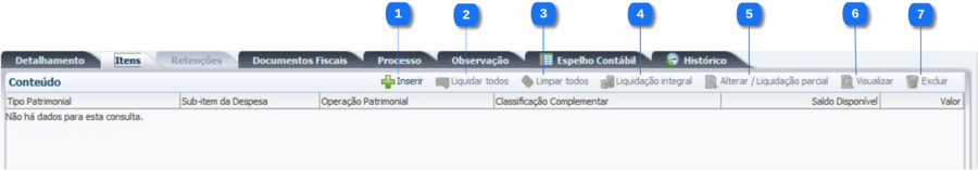 Execução - Execução Orçamentária - NotaLiquidacaoEdit - Aba Itens 1.png