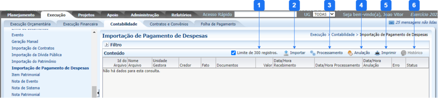 Importação de Pagamento de Despesas1.png