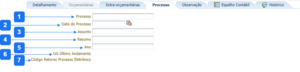 Aba Processo - GR.png
