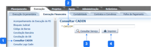 Consultar CADIN.png