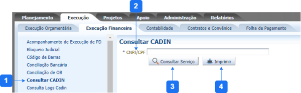 Consultar CADIN.png