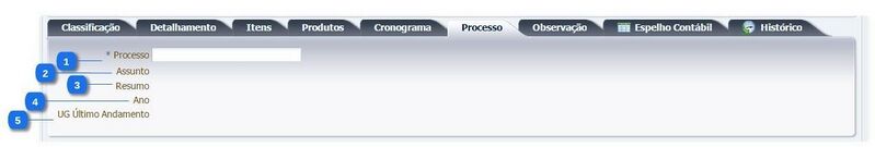 Arquivo:1200px-Guia processo.jpg