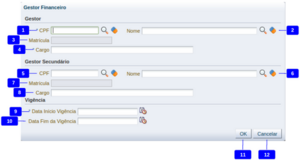 600px-Inserir gestor financeiro.png