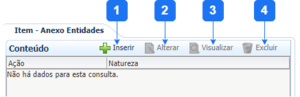 Aba Item - Anexo Entidade.png