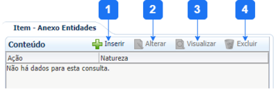 Aba Item - Anexo Entidade.png
