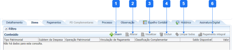 Arquivo:20230228134919!Aba Itens - PDO.png