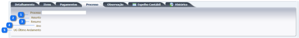 Execução - Execução Financeira - PDOrçamentária (9).png