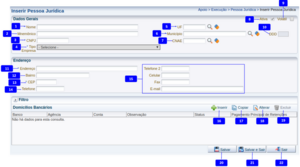 800px-Inserir pessoa juridica.png