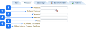 Aba Processo - NP.png