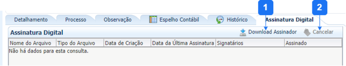 Aba Assinatura Digital - NR.png