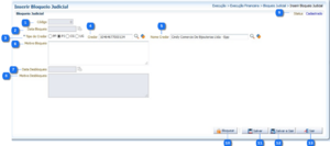 BloqueioJudicial Inserir.png
