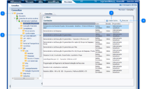 1050px-Flexvision consultas.png