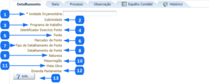Aba Detalhamento - DD.png