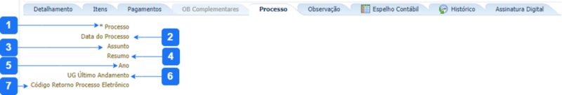 Arquivo:900px-Aba Processo - OBO.png