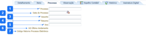 Aba Processo - PDT.png