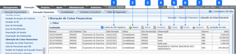 Arquivo:1000px-Liberação de Cotas Financeiras.png