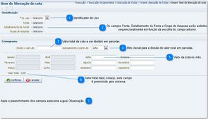 900px-Item de liberação de cota.jpg