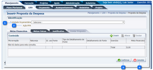 1000px-Planejamento - LDO - PropostaDespesaEdit.png