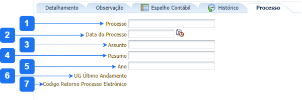 Aba Processo - NEV.png