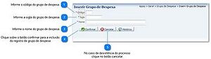 360px-Inserir grupo de despesa.jpg