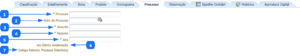 Aba Processo - NE.png