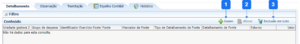 Aba Detalhamento - SCF.png