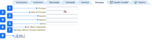 Aba Processo - SAO.png
