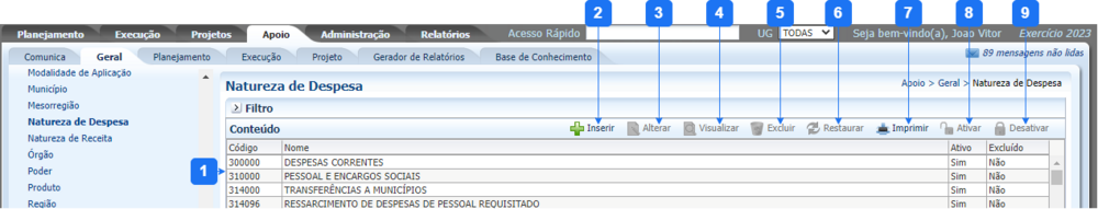 Natureza de Despesa.png