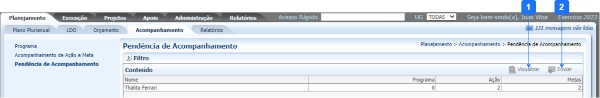 Pendencia de Acompanhamento.png