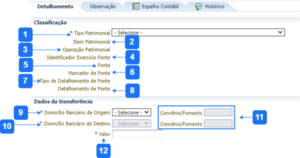 600px-Aba Detalhamento - NAR.png