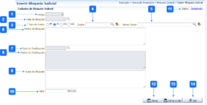Inserir Bloqueio Judicial.png