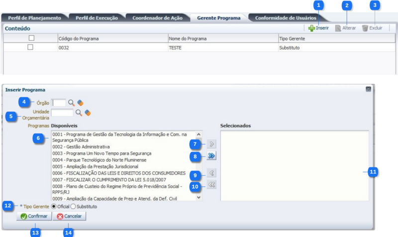 Administração - Segurança - perfilInstitucionalEdit - Aba Gerente Programa.png