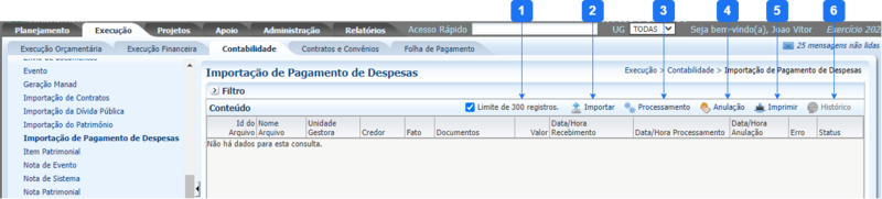 Importação de Pagamento de Despesas.png