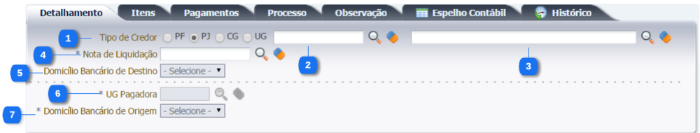 Execução - Execução Financeira - PDOrçamentária (2).png
