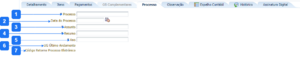 Aba Processo - OBE.png