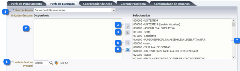 Administração - Segurança - perfilInstitucionalEdit - Aba Perfil Execução.png