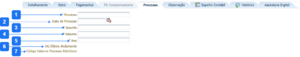 Aba Processo - PDO.png
